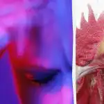 Jen rozený špion odhalí podivného kohouta za 13 sekund: záludná