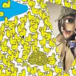 Jen ti nejchytřejší najdou kuře mezi kachňaty za 8 sekund: