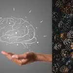 Kužely vidí každý, ale ježka musíte najít za 7 sekund: IQ test Kužely vidí každý, ale ježka musíte najít za 7 sekund: