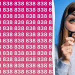 Máte vysoké IQ, pokud dokážete rychle najít číslo 888 mezi