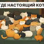 Musíte najít skutečnou kočku za 5 sekund: velmi jednoduchý IQ