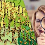 Na tomto optickém klamu najdou hada mezi žirafami za 11