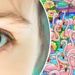 Najděte dívku mezi plameňáky za 8 sekund: tato hádanka vám