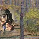 Najdete psa v lese za 7 sekund: super náročná logická