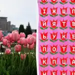 Najdete slovo "tulipán" za 11 sekund: velmi složitý optický klam