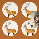 Neobvyklé soby najdou jen ti nejpozornější: záludná logická hra