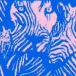 Obrázkový test: optický klam určí, jak jste společenští