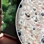 Optický klam pro nejpozornější: skrytý diamant najdou jen géniové