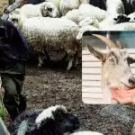 Otestujte své IQ za 10 sekund: zábavná optická iluze pro