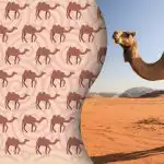 Podivného velblouda najdou jen novodobí Sherlockové Holmesové: záhada pro nejbystřejší z bystrých Podivného velblouda najdou jen novodobí Sherlockové Holmesové: záhada pro nejbystřejší