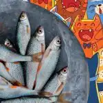 Potřeba najít ryby mezi kočkami: zábavná hádanka pro lidi s