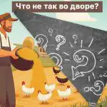 Potřebujete najít velkou chybu na farmě do 5 sekund: zábavný IQ test Potřebujete najít velkou chybu na farmě do 5 sekund: zábavný