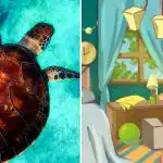 Pouze 2 % lidí dokáží rozpoznat želvu: hádanka, kterou je