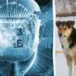 Pouze 2 % velmi chytrých lidí vám za 8 sekund