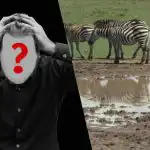 Rychlý IQ test: najděte psa v poli za 6 sekund Rychlý IQ test: najděte psa v poli za 6 sekund