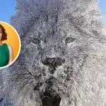 "Uzavřený" nebo "společenský" člověk: co o vás může prozradit optický