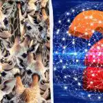 Žirafy vidí každý, ale nezkrotnou kozu musíte najít za 8