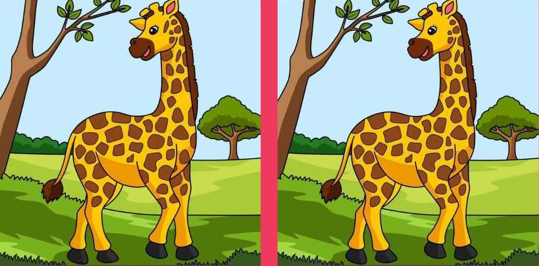 Hádanka - obrázek žirafy 1