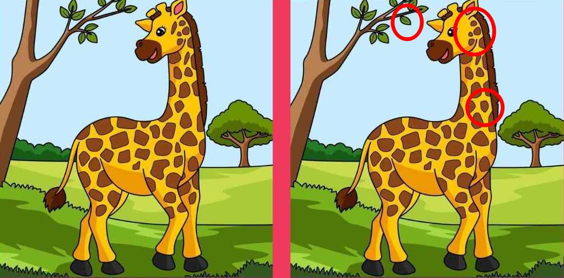Hádanka - obrázek žirafy 2 s řešením