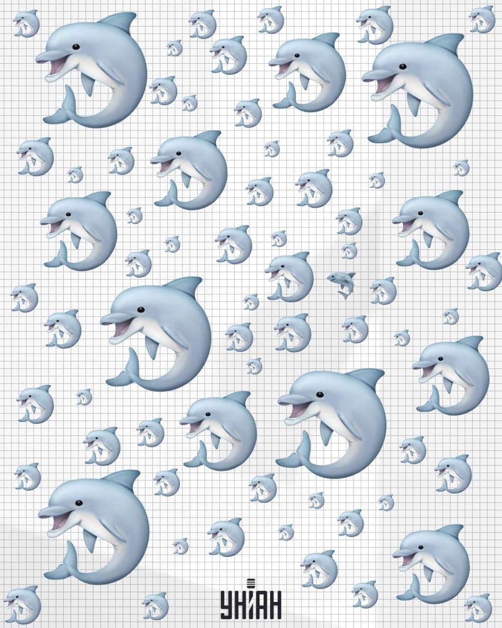 Najít žraloka trvá méně než 10 sekund / koláž Moje