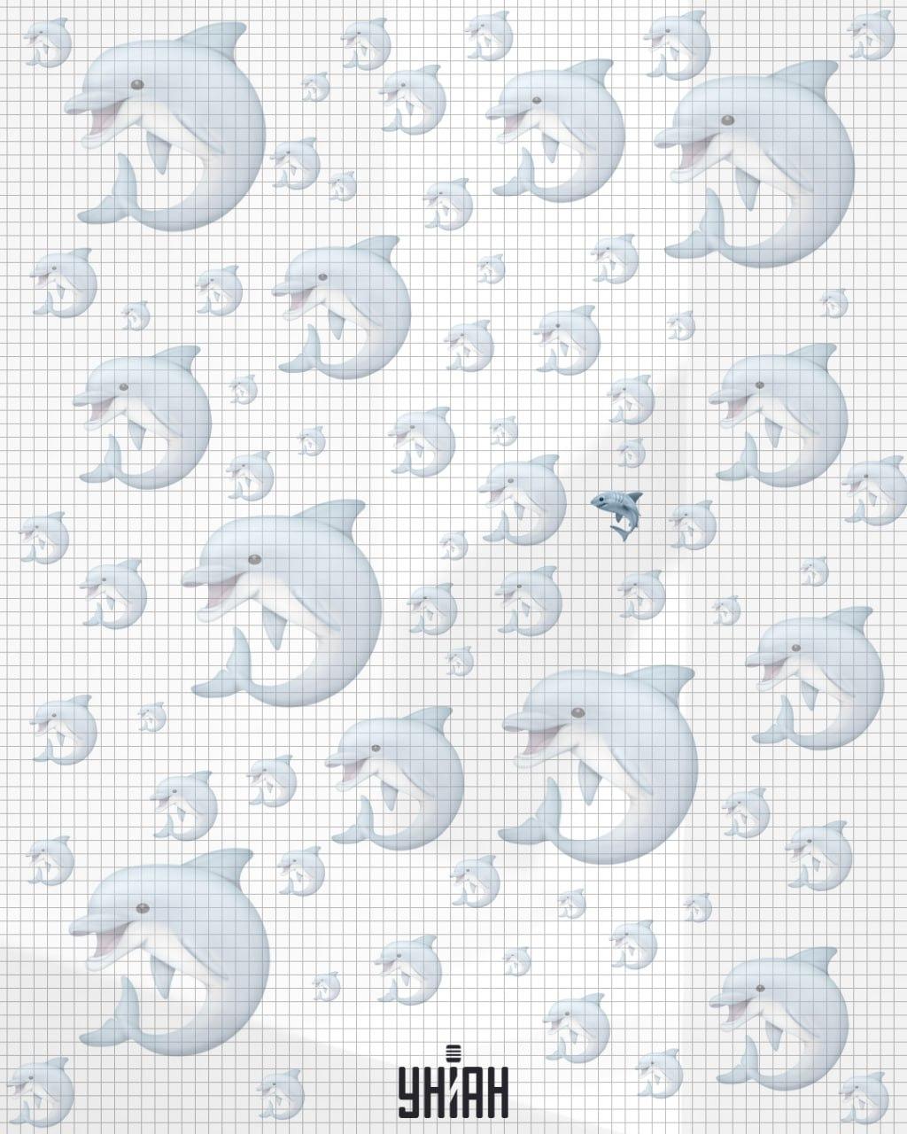 Žralok se nacházel poblíž středu snímku / koláž Moje