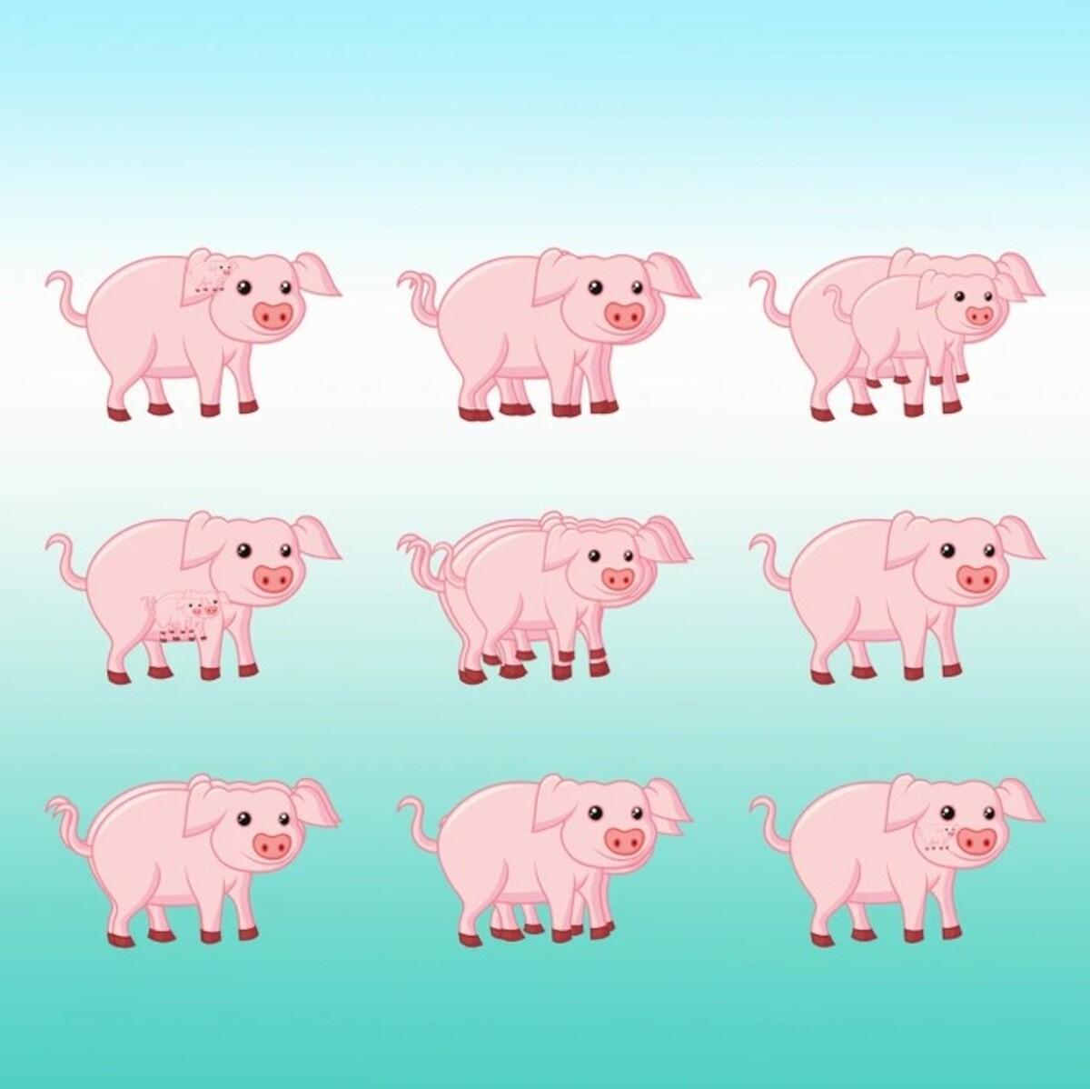 Pokud hádanku vyřešíte rychle, máte vysoké IQ / Bright Side drawing (kresba na světlé straně)