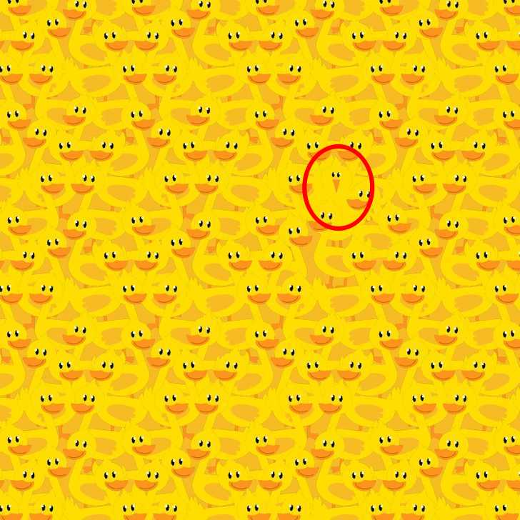 hádanka, kuře - řešení