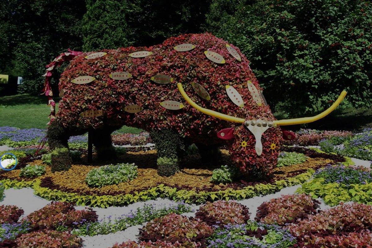 Foto Moje s vyznačenou kočkou