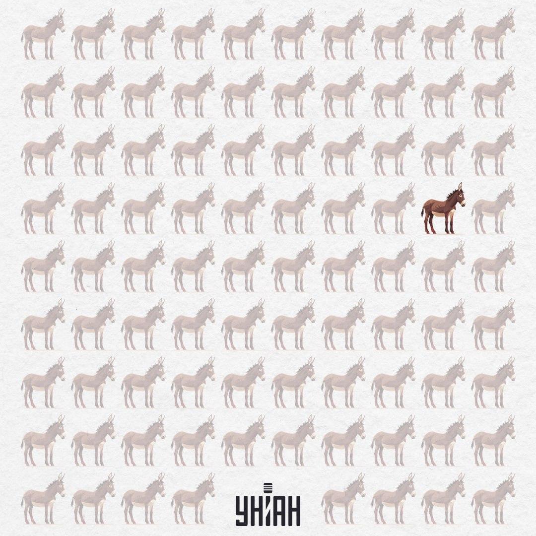 Řešení - osel s chybějícím uchem