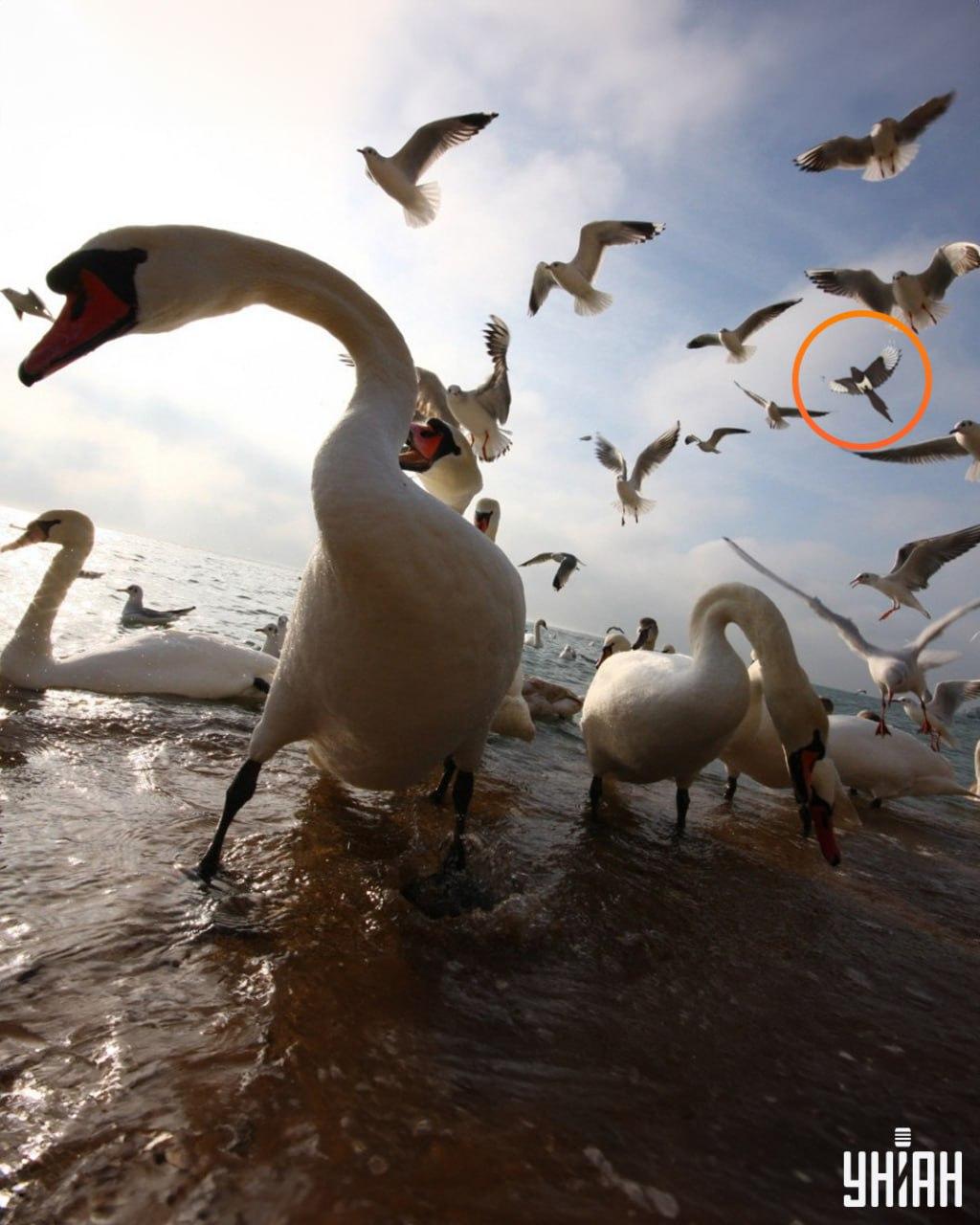 Foto Moje s řešením