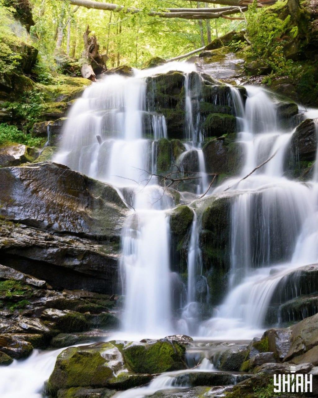 Musíme najít veverku na záludné hádance / koláž Moje Hledání veverky na záludné skládačce / koláž Moje