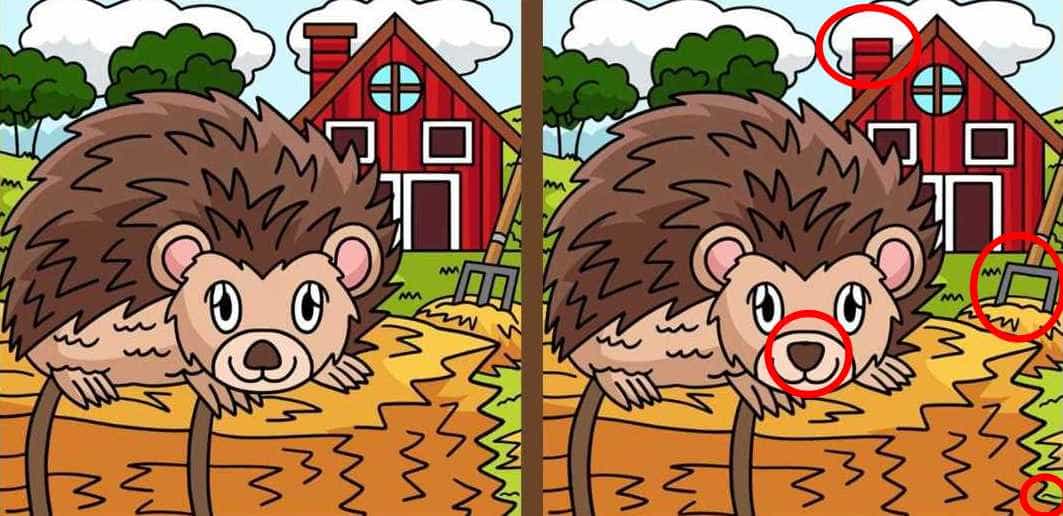 puzzle Odpověď na hádanku