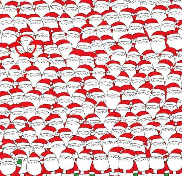 Řešení hádanky - označená ovce