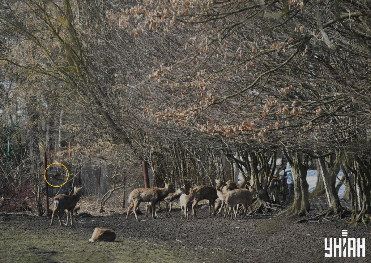 Fotografie Moje s řešením