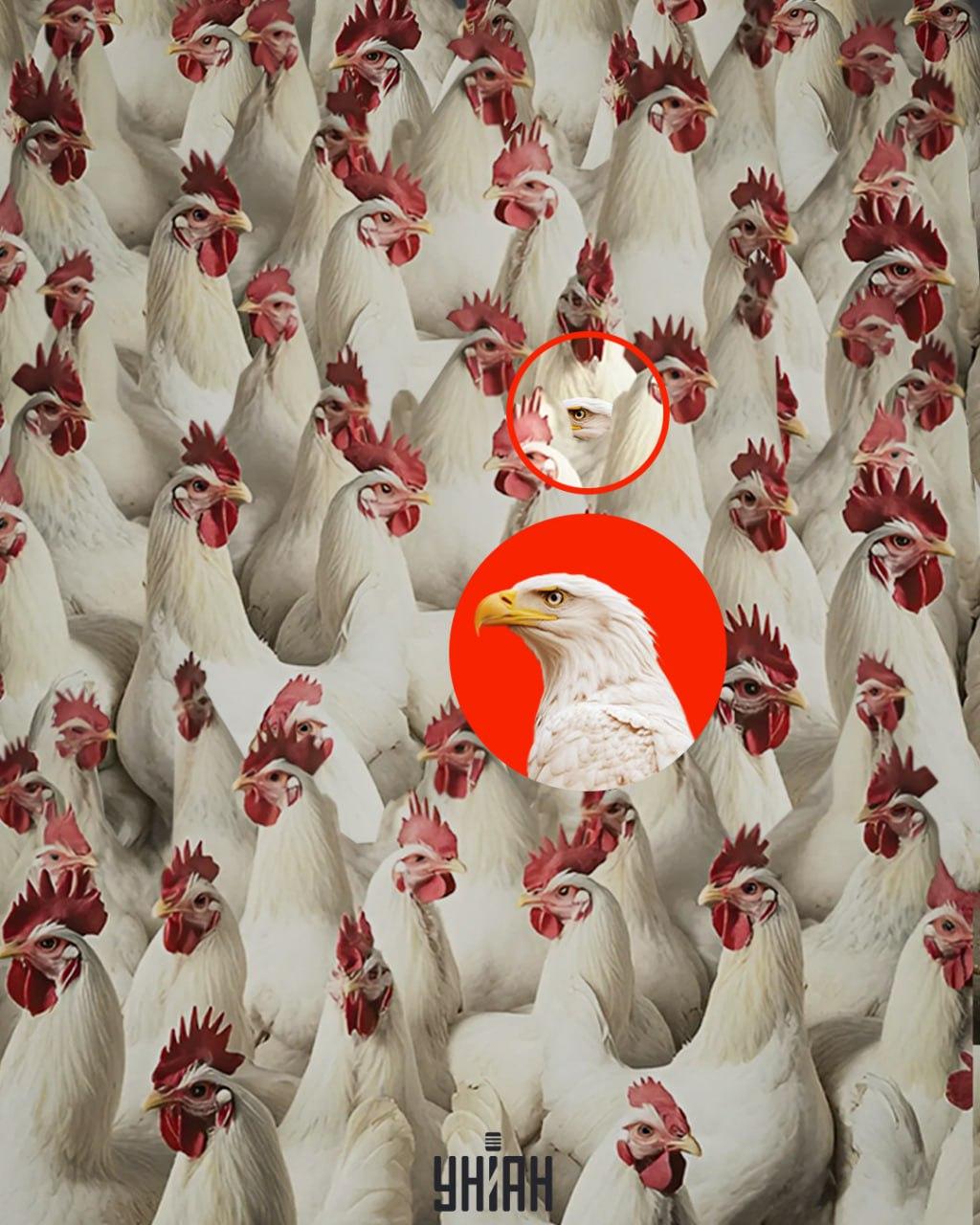 Orla lze najít rychle, pokud si zapamatujete, že nemá erb / koláž od Moje Orel se dá rychle najít, pokud si zapamatujete, že nemá chocholku / koláž od Mojeu