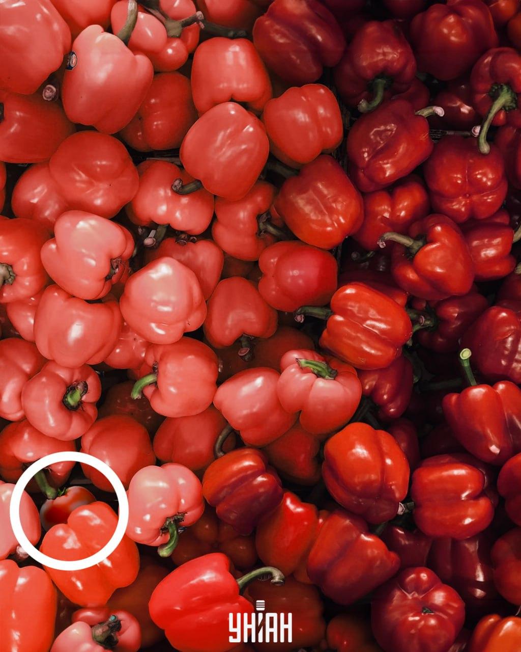 Řešení hádanky s bíle zakroužkovaným rajčetem