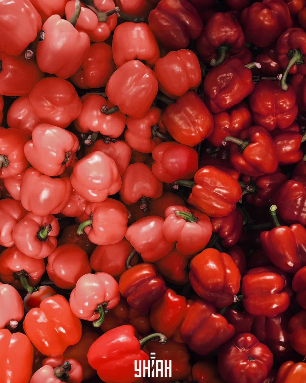 Ilustrační obrázek s mnoha červenými paprikami a jedním skrytým rajčetem