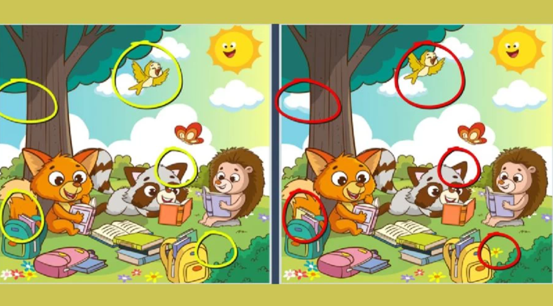 Fotografie Fresherslive