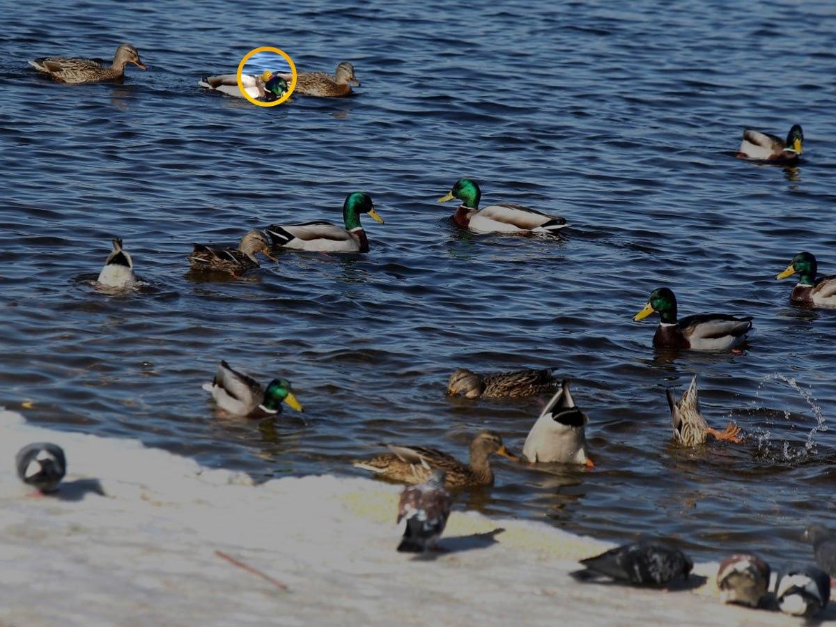 Foto Moje Foto Moje s řešením