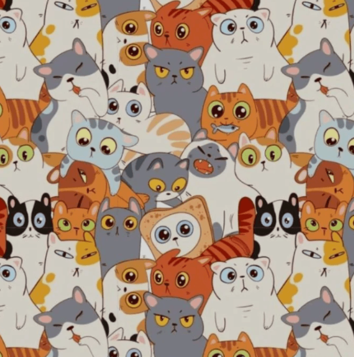 Bright Side foto Fotografie světlé stránky