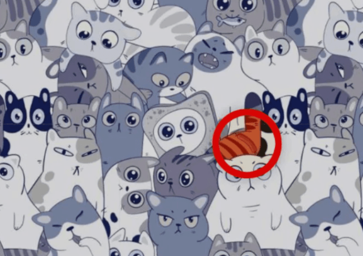 Bright Side foto Fotografie Bright Side