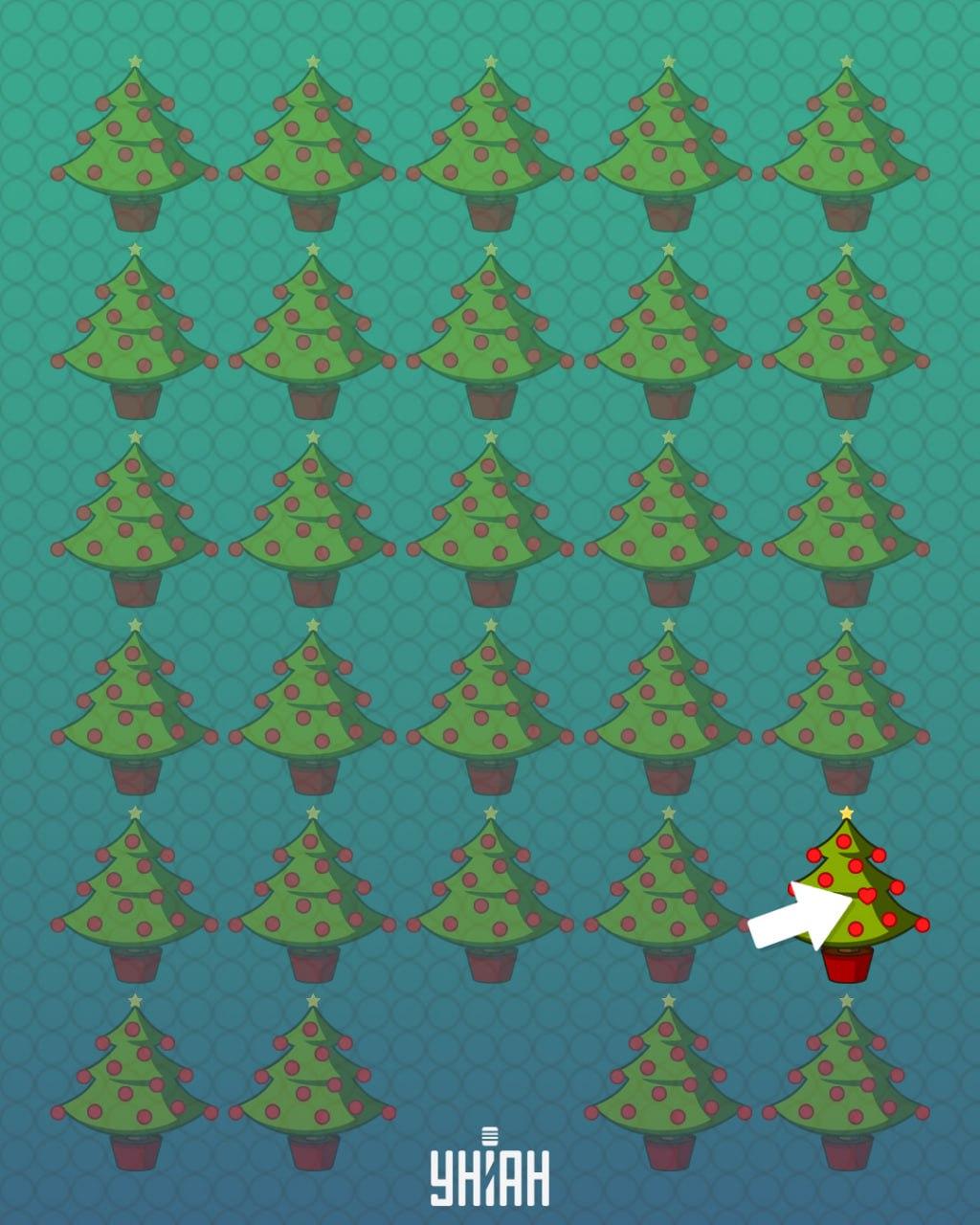 Odpověď / Foto Moje