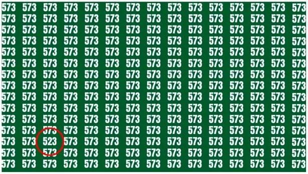 Číslo 523 najdete v levém dolním rohu / Zrcadlová fotografie