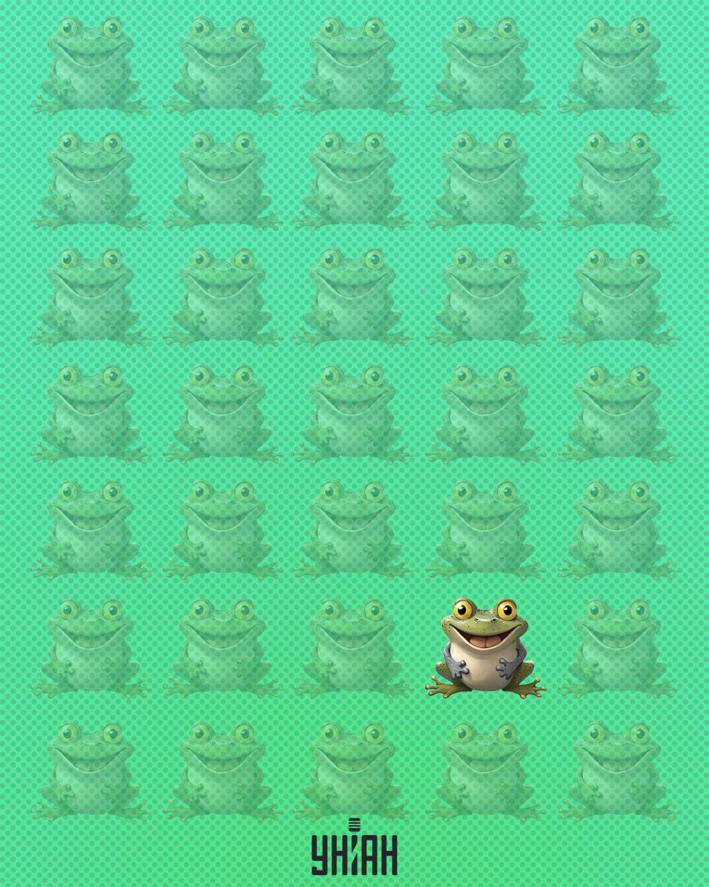 Koláž Moje s řešením