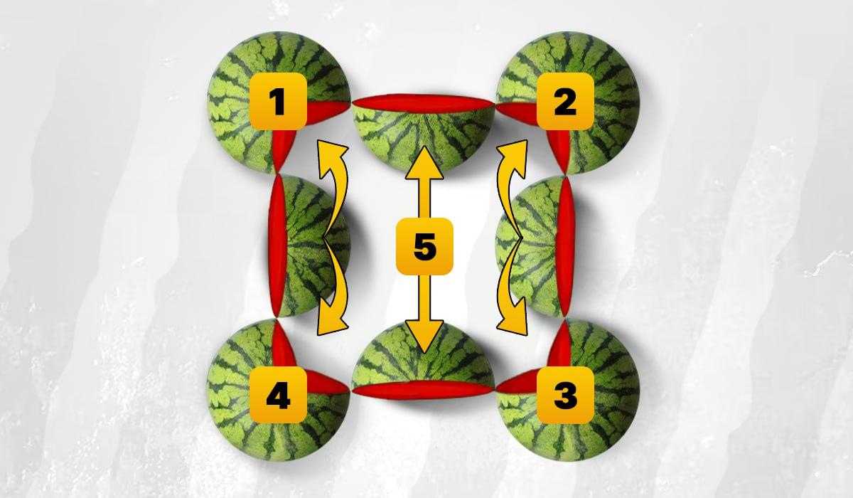 Na obrázku je 5 melounů / Ilustrace Moje
