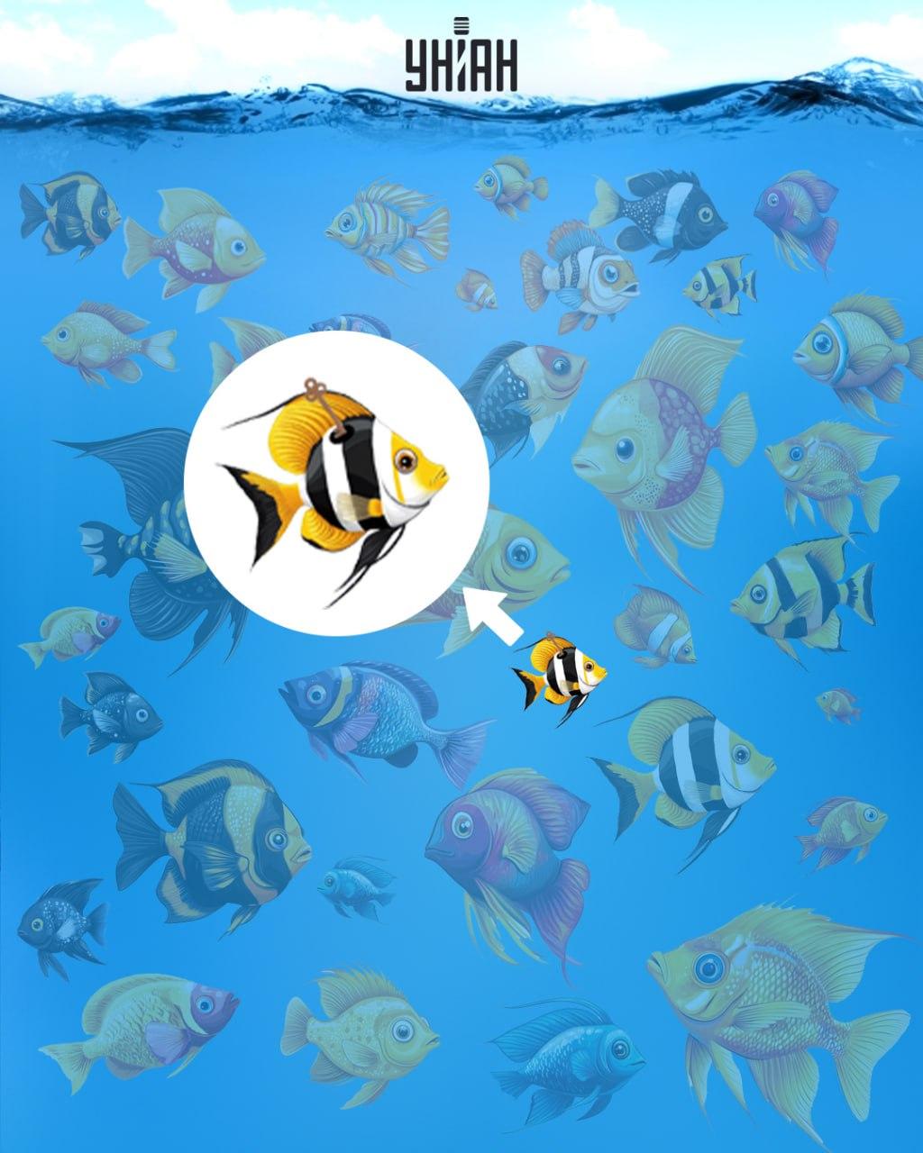 Koláž Moje Koláž Moje