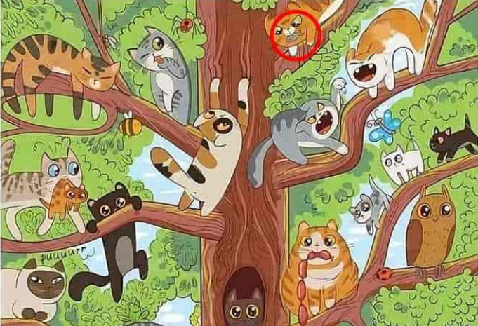 foto: Jagranjosh s řešením