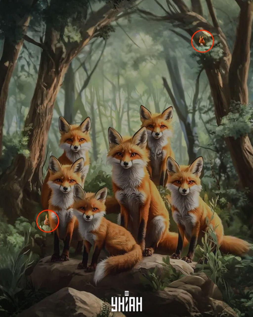 Koláž Moje Koláž Moje