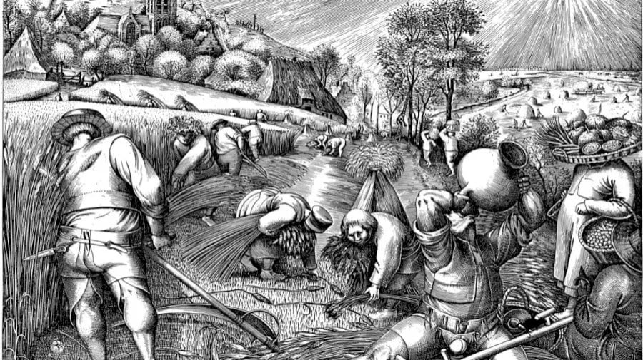 Optická iluze Optická iluze - hledání krysy