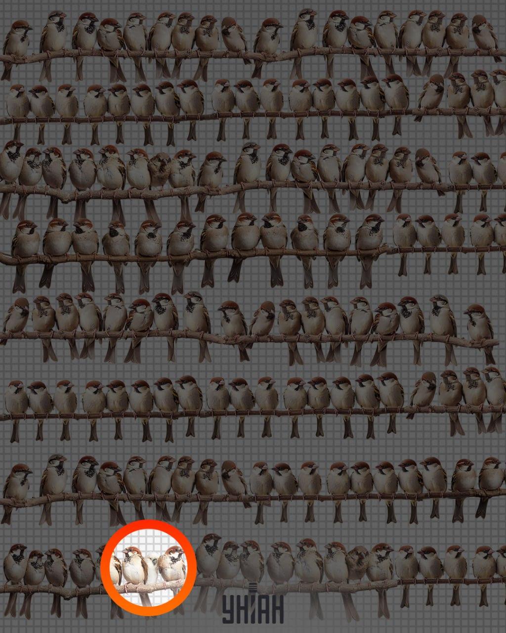 Odpověď / foto: Moje